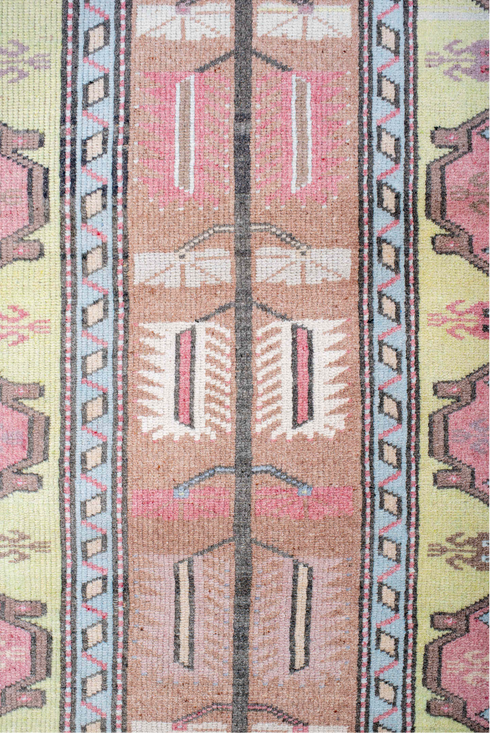 Antique Anatol Area Rug (2' x 4')